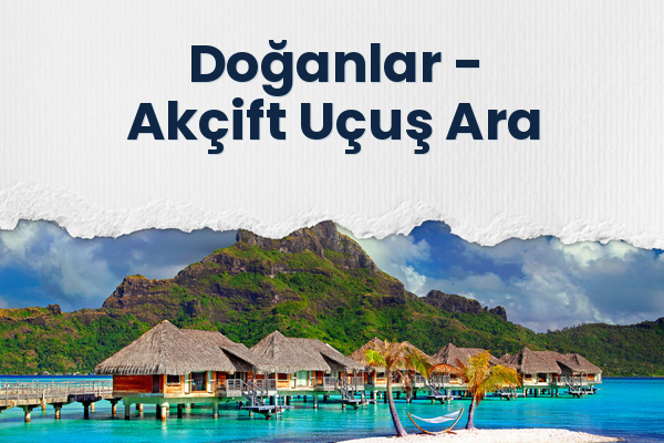 Doğanlar → Akçift Uçuş Ara