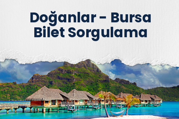 Doğanlar → Bursa Bilet Sorgulama