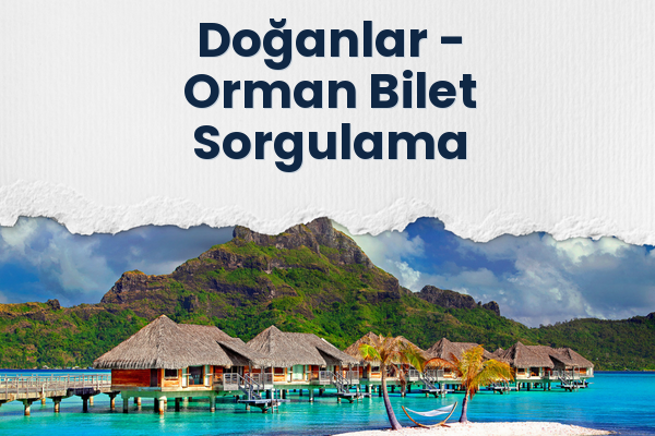 Doğanlar → Orman Bilet Sorgulama