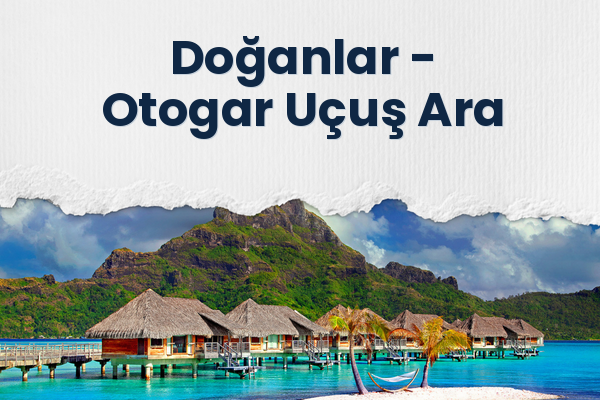 Doğanlar → Otogar Uçuş Ara