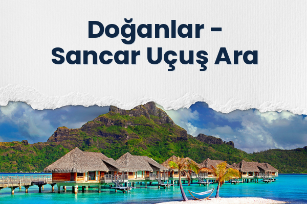 Doğanlar → Sancar Uçuş Ara
