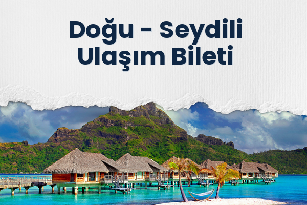 Doğu → Seydili Ulaşım Bileti