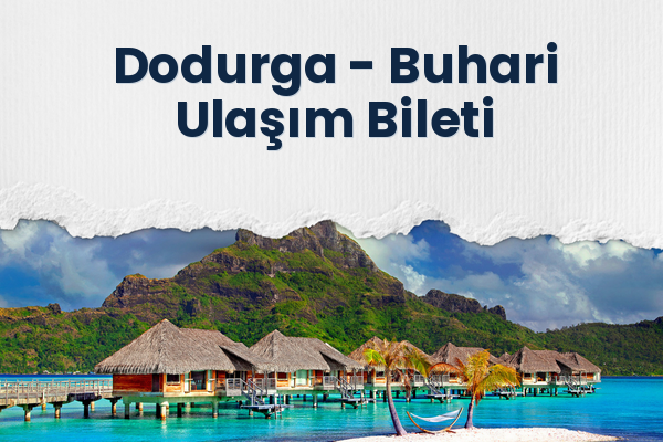 Dodurga → Buhari Ulaşım Bileti