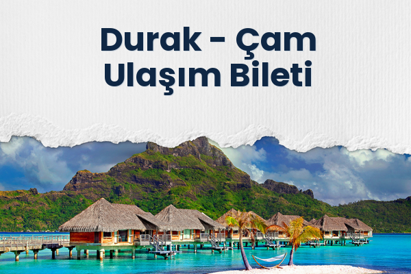 Durak → Çam Ulaşım Bileti