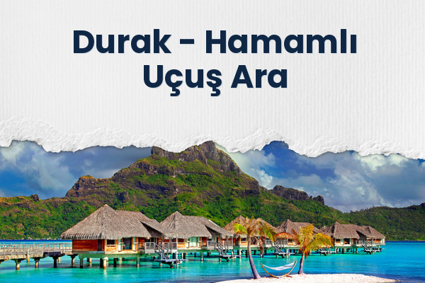 Durak → Hamamlı Uçuş Ara