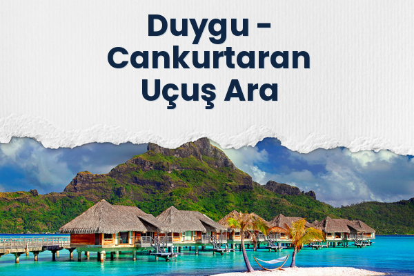 Duygu → Cankurtaran Uçuş Ara