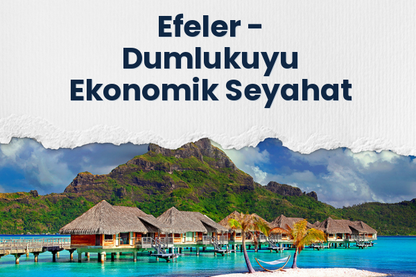 Efeler → Dumlukuyu Ekonomik Seyahat