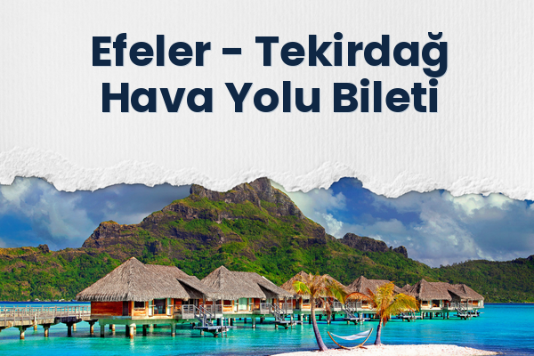 Efeler → Tekirdağ Hava Yolu Bileti
