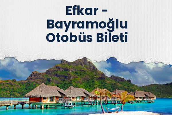 Efkar → Bayramoğlu Otobüs Bileti