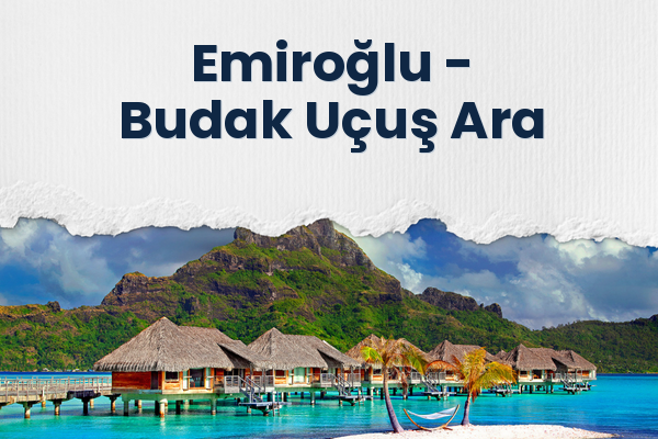 Emiroğlu → Budak Uçuş Ara