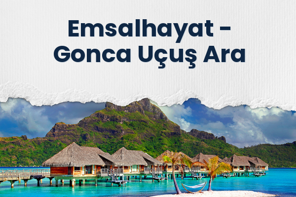 Emsalhayat → Gonca Uçuş Ara