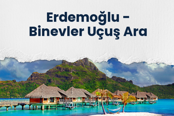 Erdemoğlu → Binevler Uçuş Ara
