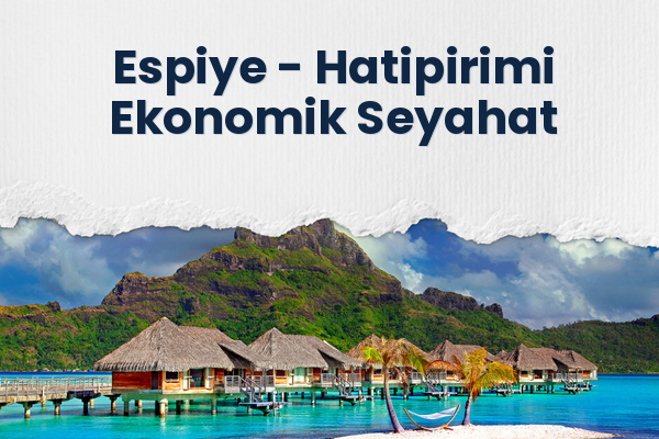 Espiye → Hatipirimi Ekonomik Seyahat
