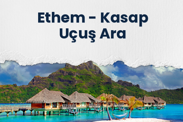 Ethem → Kasap Uçuş Ara