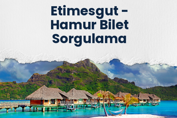 Etimesgut → Hamur Bilet Sorgulama