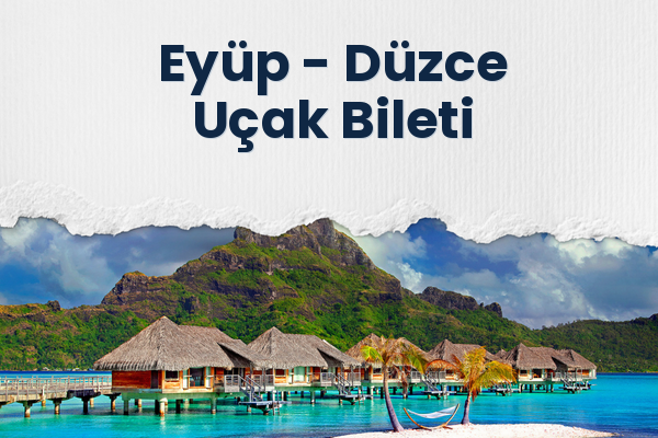 Eyüp → Düzce Uçak Bileti