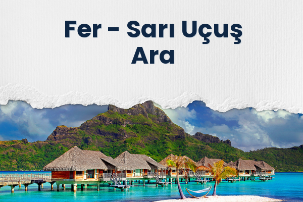 Fer → Sarı Uçuş Ara