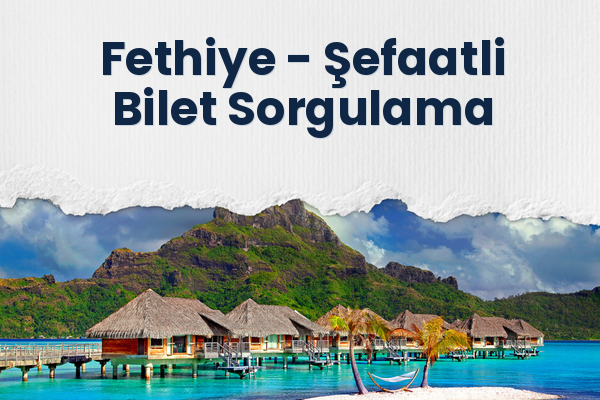 Fethiye → Şefaatli Bilet Sorgulama