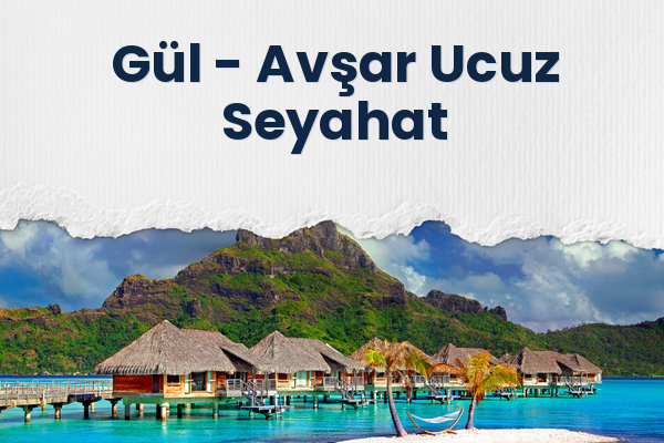Gül → Avşar Ucuz Seyahat