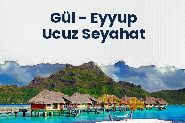 Gül → Eyyup Ucuz Seyahat