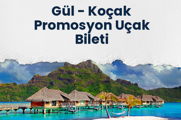 Gül → Koçak Promosyon Uçak Bileti