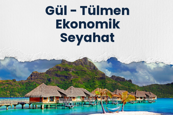 Gül → Tülmen Ekonomik Seyahat