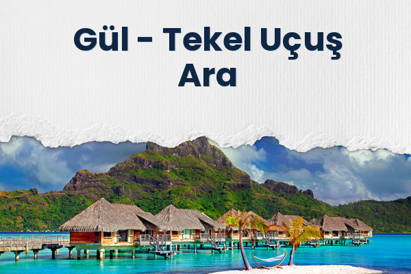 Gül → Tekel Uçuş Ara