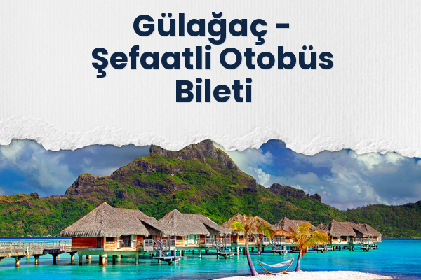 Gülağaç → Şefaatli Otobüs Bileti