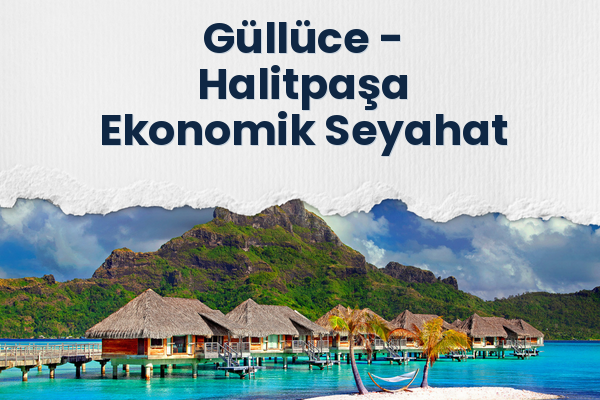 Güllüce → Halitpaşa Ekonomik Seyahat