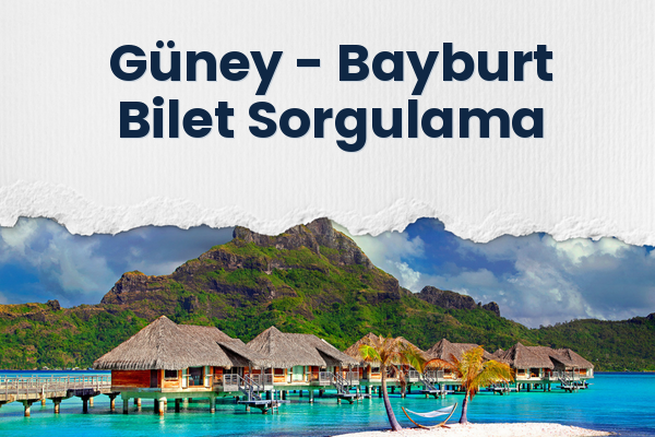 Güney → Bayburt Bilet Sorgulama