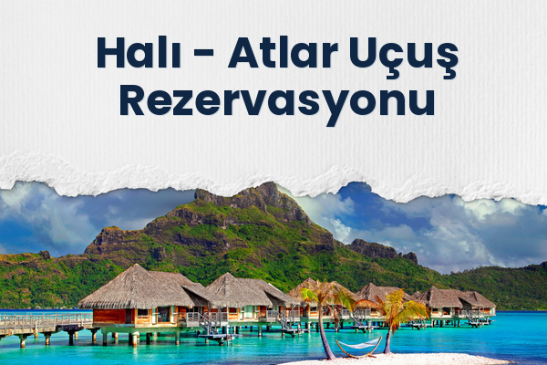 Halı → Atlar Uçuş Rezervasyonu