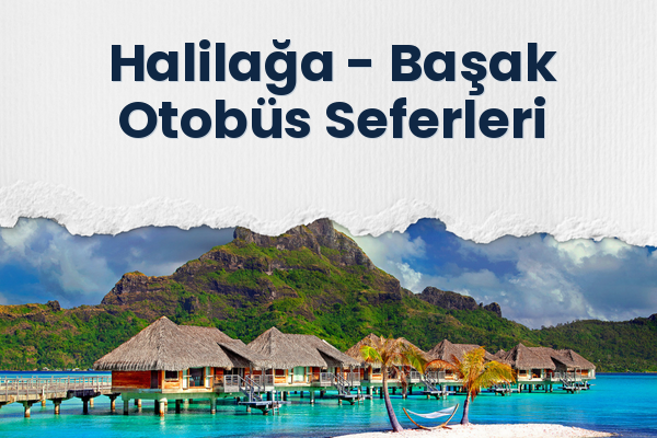 Halilağa → Başak Otobüs Seferleri