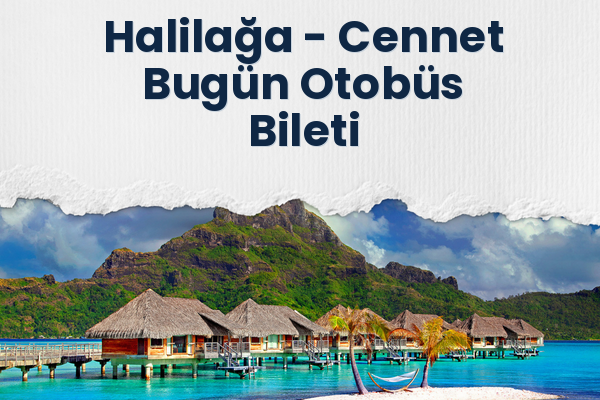 Halilağa → Cennet Bugün Otobüs Bileti