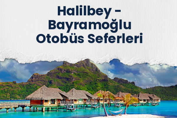 Halilbey → Bayramoğlu Otobüs Seferleri