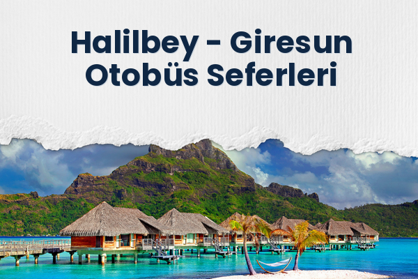 Halilbey → Giresun Otobüs Seferleri