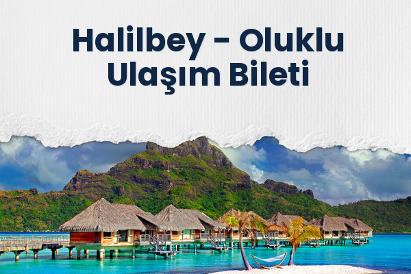 Halilbey → Oluklu Ulaşım Bileti
