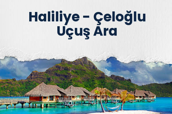Haliliye → Çeloğlu Uçuş Ara