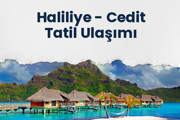 Haliliye → Cedit Tatil Ulaşımı