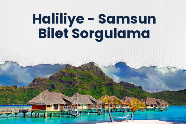 Haliliye → Samsun Bilet Sorgulama