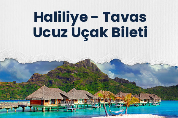 Haliliye → Tavas Ucuz Uçak Bileti