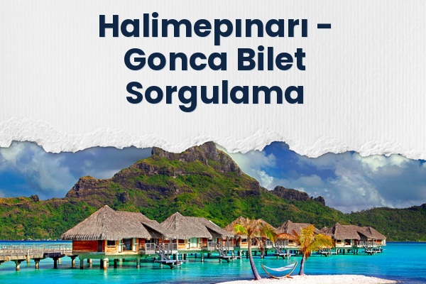 Halimepınarı → Gonca Bilet Sorgulama