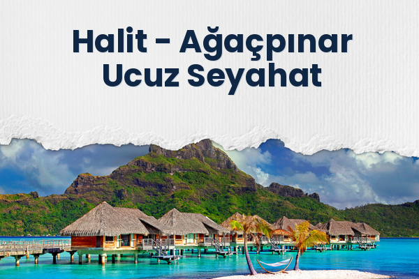 Halit → Ağaçpınar Ucuz Seyahat