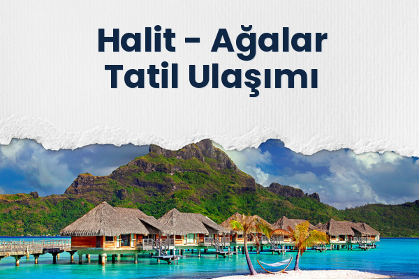 Halit → Ağalar Tatil Ulaşımı