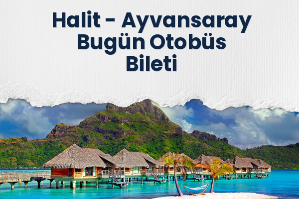 Halit → Ayvansaray Bugün Otobüs Bileti