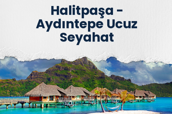 Halitpaşa → Aydıntepe Ucuz Seyahat