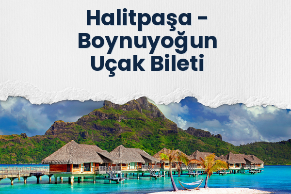 Halitpaşa → Boynuyoğun Uçak Bileti