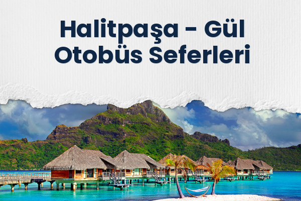 Halitpaşa → Gül Otobüs Seferleri