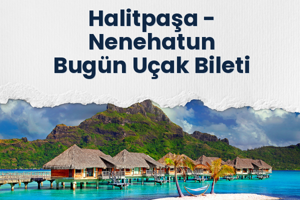 Halitpaşa → Nenehatun Bugün Uçak Bileti