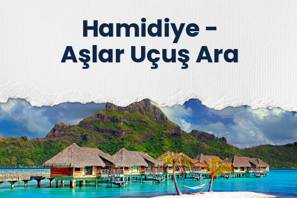 Hamidiye → Aşlar Uçuş Ara