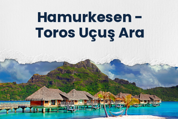 Hamurkesen → Toros Uçuş Ara
